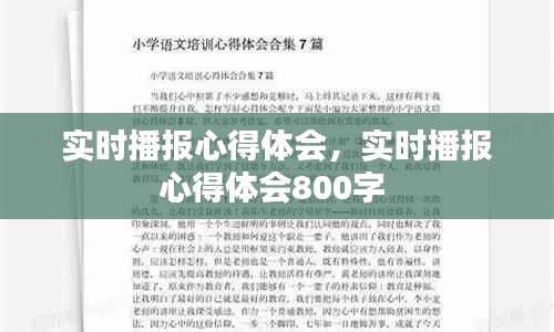 实时播报心得体会,实时播报心得体会800字