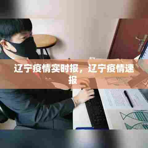 辽宁疫情实时报,辽宁疫情速报