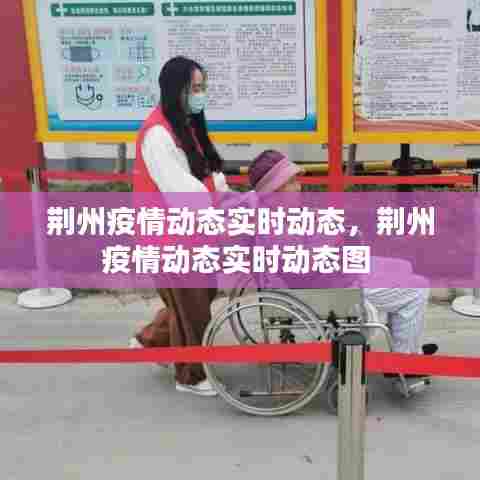 荆州疫情动态实时动态,荆州疫情动态实时动态图