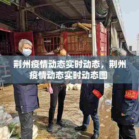 荆州疫情动态实时动态,荆州疫情动态实时动态图