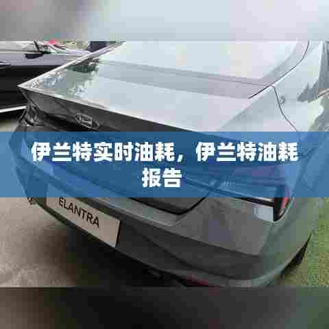 伊兰特实时油耗,伊兰特油耗报告