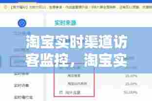 淘宝实时渠道访客监控，淘宝实时访客我的淘宝是什么意思 