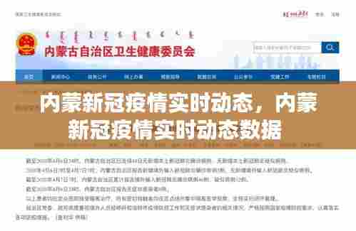 内蒙新冠疫情实时动态,内蒙新冠疫情实时动态数据