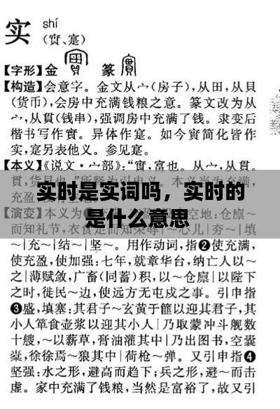 实时是实词吗,实时的是什么意思
