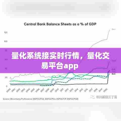 量化系统接实时行情,量化交易平台app