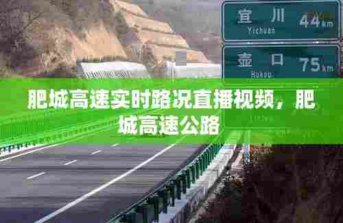 肥城高速实时路况直播视频，肥城高速公路 
