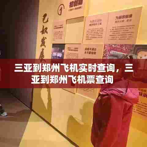三亚到郑州飞机实时查询,三亚到郑州飞机票查询