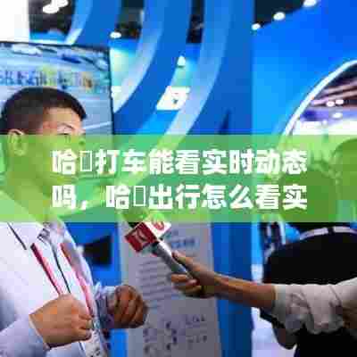 哈啰打车能看实时动态吗,哈啰出行怎么看实时位置