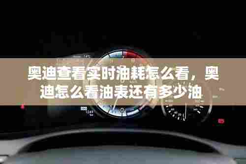 奥迪查看实时油耗怎么看,奥迪怎么看油表还有多少油