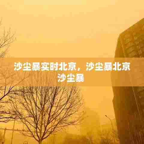 沙尘暴实时北京,沙尘暴北京沙尘暴