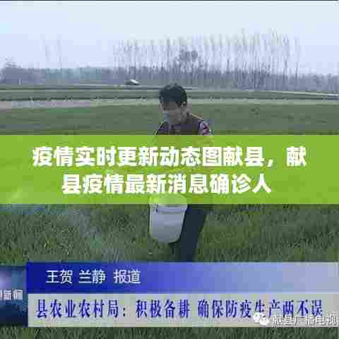 疫情实时更新动态图献县,献县疫情最新消息确诊人