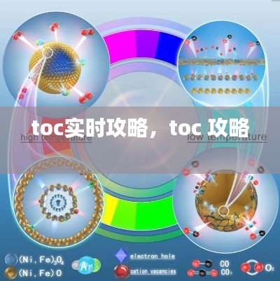 toc实时攻略,toc 攻略