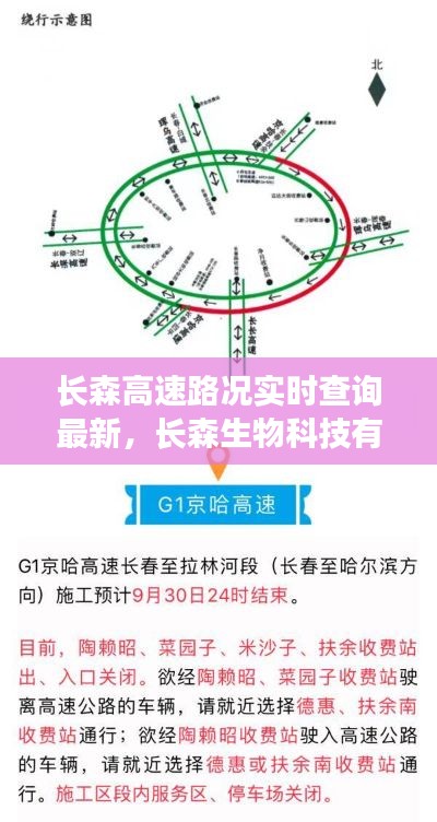 长森高速路况实时查询最新,长森生物科技有限公司