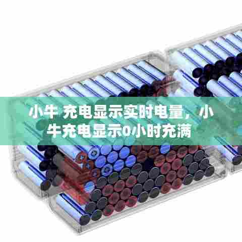小牛 充电显示实时电量,小牛充电显示0小时充满