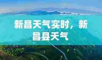 车主社区 第376页