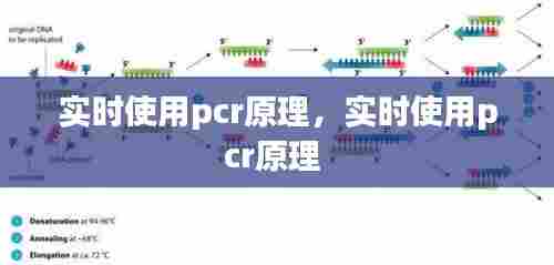 实时使用pcr原理，实时使用pcr原理 