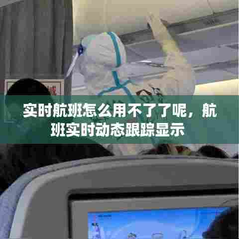 实时航班怎么用不了了呢,航班实时动态跟踪显示