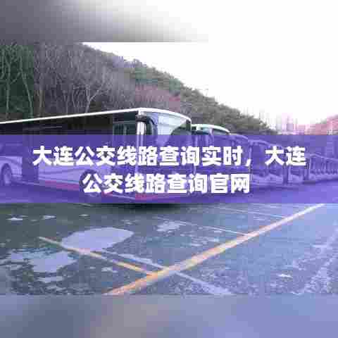 大连公交线路查询实时,大连公交线路查询官网