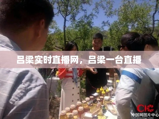 吕梁实时直播网,吕梁一台直播