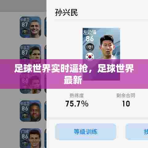 足球世界实时逼抢,足球世界最新