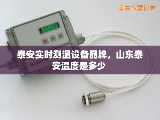 泰安实时测温设备品牌,山东泰安温度是多少
