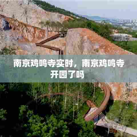 南京鸡鸣寺实时，南京鸡鸣寺开园了吗 