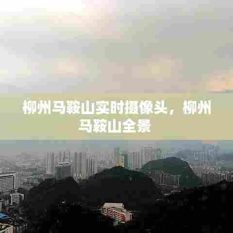 柳州马鞍山实时摄像头,柳州马鞍山全景