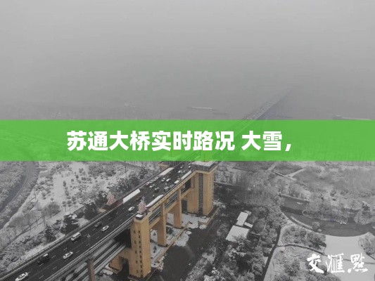 苏通大桥实时路况 大雪,