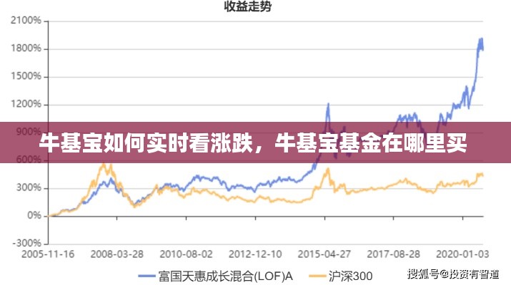 牛基宝如何实时看涨跌,牛基宝基金在哪里买