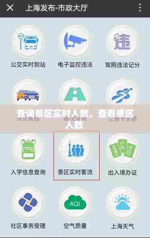 查询景区实时人数,查看景区人数