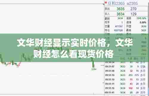 文华财经显示实时价格,文华财经怎么看现货价格