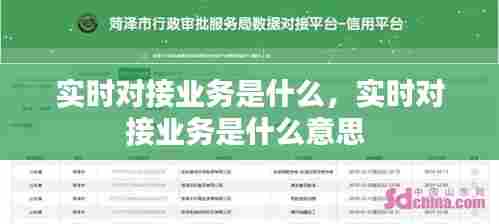 实时对接业务是什么,实时对接业务是什么意思