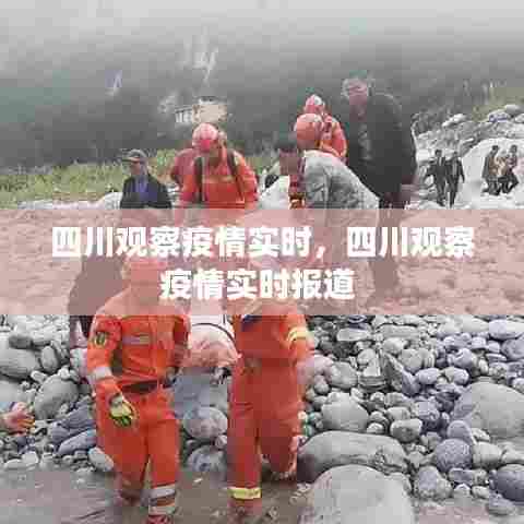 四川观察疫情实时,四川观察疫情实时报道