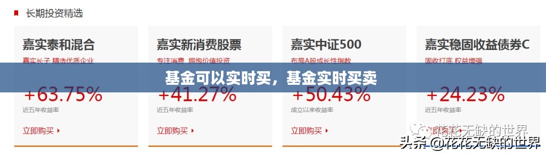 基金可以实时买,基金实时买卖
