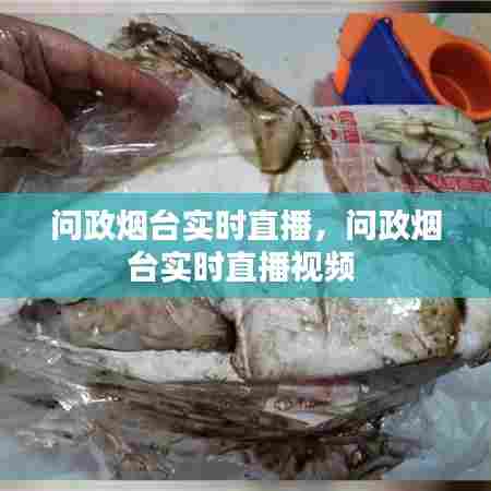 问政烟台实时直播,问政烟台实时直播视频