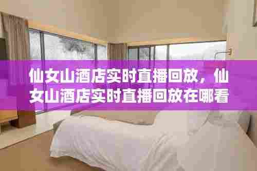 仙女山酒店实时直播回放,仙女山酒店实时直播回放在哪看