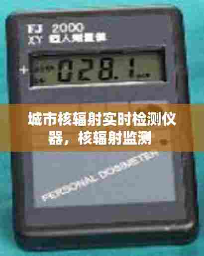 城市核辐射实时检测仪器,核辐射监测