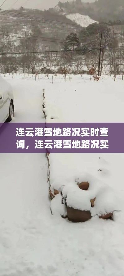 连云港雪地路况实时查询,连云港雪地路况实时查询最新