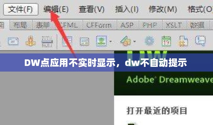 DW点应用不实时显示,dw不自动提示
