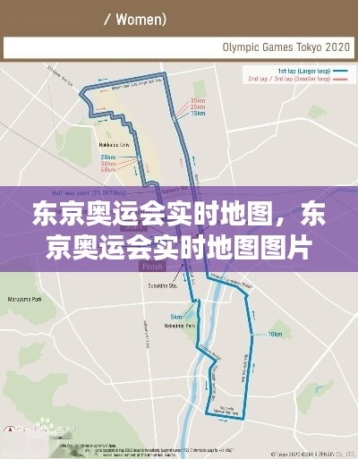东京奥运会实时地图,东京奥运会实时地图图片