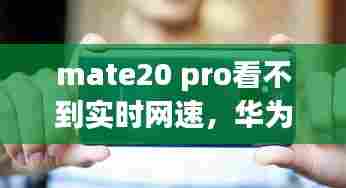 mate20 pro看不到实时网速,华为mate20pro测网速