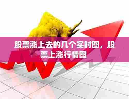 股票涨上去的几个实时图,股票上涨行情图