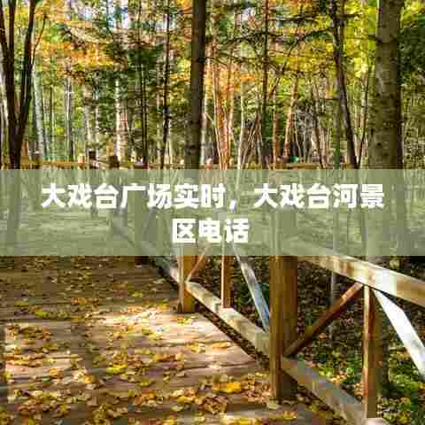 大戏台广场实时,大戏台河景区电话