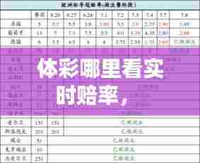 体彩哪里看实时赔率,