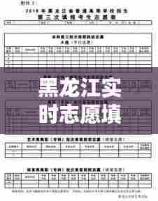 黑龙江实时志愿填报平台,黑龙江志愿填报系统