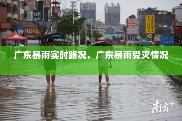 广东暴雨实时路况,广东暴雨受灾情况