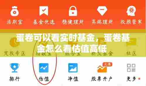 蛋卷可以看实时基金,蛋卷基金怎么看估值高低