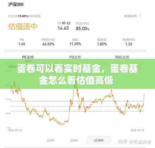 蛋卷可以看实时基金,蛋卷基金怎么看估值高低