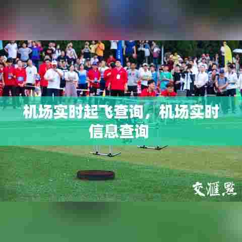 机场实时起飞查询,机场实时信息查询