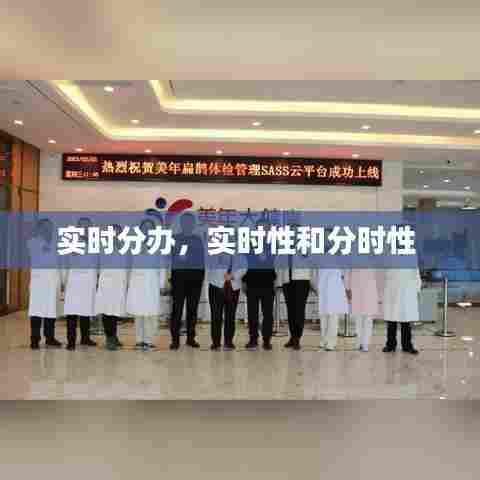实时分办,实时性和分时性